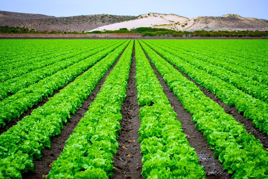 organic farming supplies