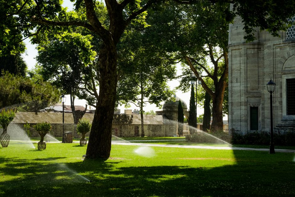 irrigation system
