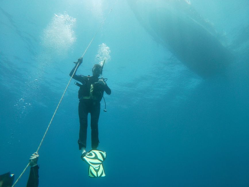 curso buceo certificación